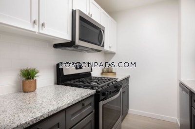 Mission Hill 2 Bedroom in Mission Hill Boston - $3,619