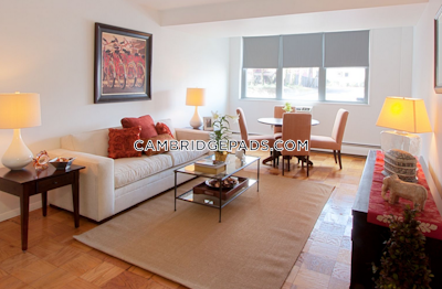 Cambridge Apartment for rent Studio 1 Bath  Porter Square - $2,480 No Fee