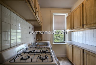 Allston 1 Bed 1 Bath Boston - $2,400 No Fee