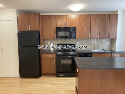 Brighton 1 Bed 1 Bath Boston - $2,505 No Fee