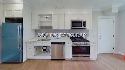 Roxbury 3 bedroom apartment for rent in Roxbury Boston - $3,095 No Fee