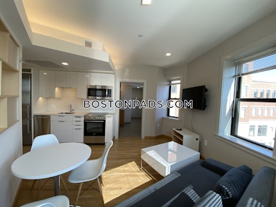 Cambridge Studio 1 Bath  Harvard Square - $3,300 No Fee