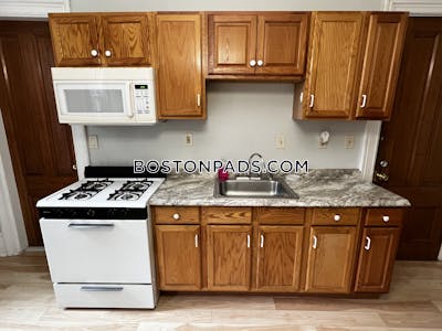 Roxbury 1 Bed 1 Bath Boston - $2,625 No Fee