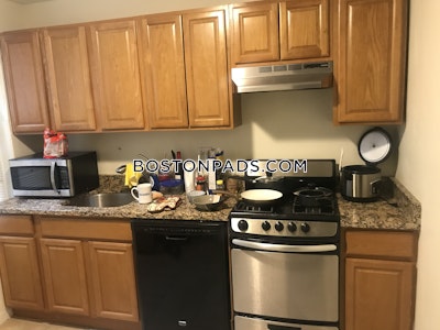 Allston/brighton Border Apartment for rent Studio 1 Bath Boston - $2,150 No Fee