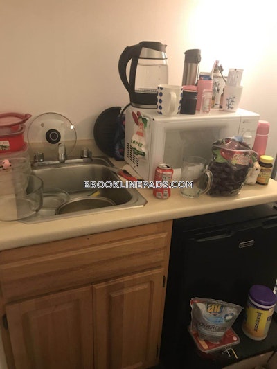 Brookline Studio 1 Bath  Boston University - $1,995 No Fee