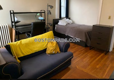 Allston Apartment for rent Studio 1 Bath Boston - $2,490 No Fee