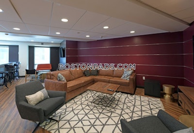 Fenway/kenmore Apartment for rent 1 Bedroom 1 Bath Boston - $3,954