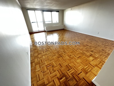 West End Apartment for rent 1 Bedroom 1 Bath Boston - $4,070