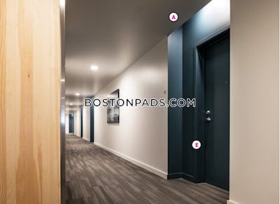 Allston/brighton Border Apartment for rent Studio 1 Bath Boston - $3,142 No Fee