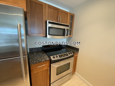 West End Apartment for rent 1 Bedroom 1 Bath Boston - $3,410