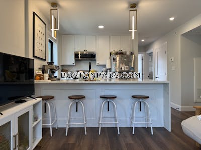 Brighton 3 bedroom 3 baths in BOSTON Boston - $4,500 No Fee