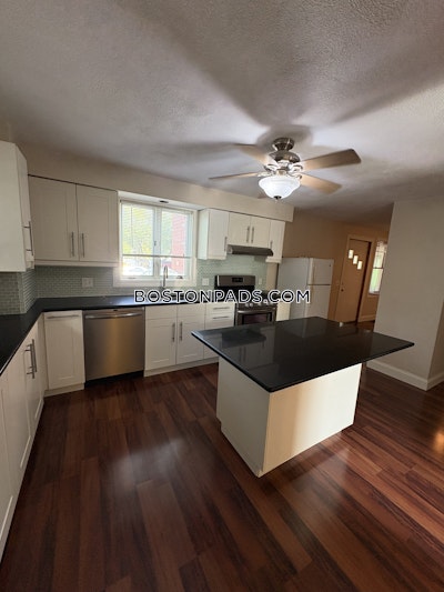 Cambridge Apartment for rent 1 Bedroom 1 Bath  Mt. Auburn/brattle/ Fresh Pond - $2,300 No Fee