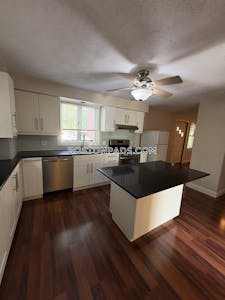 Cambridge Apartment for rent 1 Bedroom 1 Bath  Mt. Auburn/brattle/ Fresh Pond - $2,300 No Fee