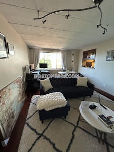 Brighton Apartment for rent 1 Bedroom 1 Bath Boston - $2,450 No Fee