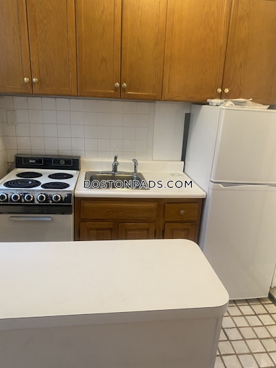 Mission Hill Apartment for rent Studio 1 Bath Boston - $1,900 No Fee