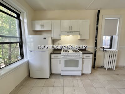 Allston Apartment for rent 1 Bedroom 1 Bath Boston - $2,150 No Fee