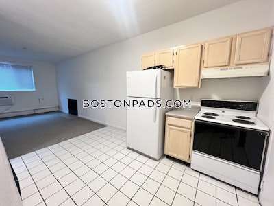 Jamaica Plain Apartment for rent Studio 1 Bath Boston - $2,000