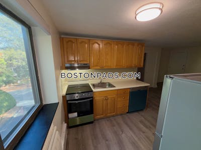 Cambridge Studio 1 Bath  Davis Square - $2,300 No Fee