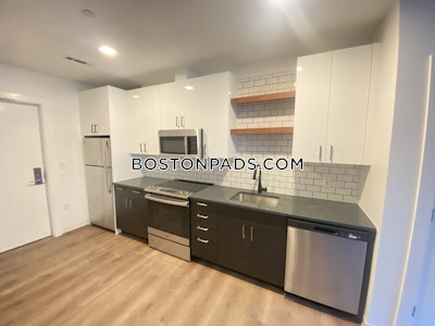 Allston Apartment for rent 2 Bedrooms 2 Baths Boston - $4,450 No Fee