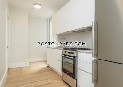 Brighton Apartment for rent 1 Bedroom 1 Bath Boston - $2,700 No Fee